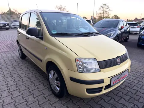 Fiat Panda 1.2 8V, Gelb, auf dem Hof von S.A.S Automobile